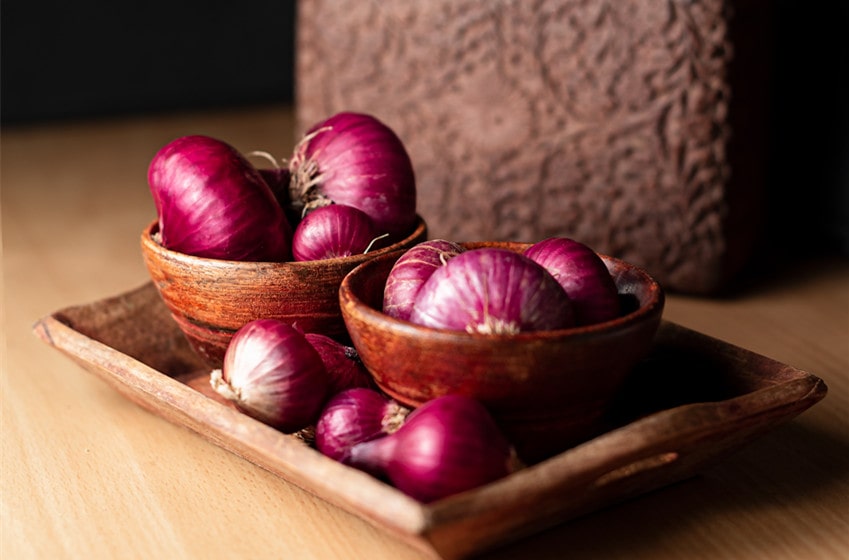  Interesting Things You Need To Know About Shower Onions